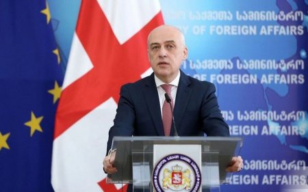 Zalkaliani: “Azərbaycan bölgədə mühüm oyunçu kimi geostrateji layihələri inkişaf etdirir”