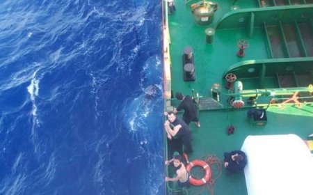 Kapitanı azərbaycanlı olan gəmi 32 suriyalı miqrantı xilas etdi - VİDEO