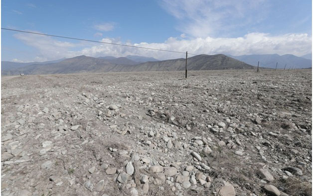 Yeni fındıq bağı hansısa məmura məxsusdur? - Nazirlikdən reaksiya