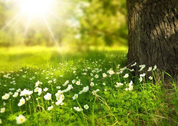 Sabah hava necə olacaq?