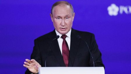 "Qərb yalan danışır" - Putin