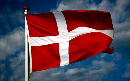 Danimarka Ukraynanın bərpasına 1,46 milyon dollar ayırır