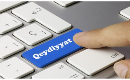 Energetika naziri xarici şirkətləri Azərbaycanla bərpa olunan enerji sahəsində əməkdaşlığa dəvət edib (FOTO)